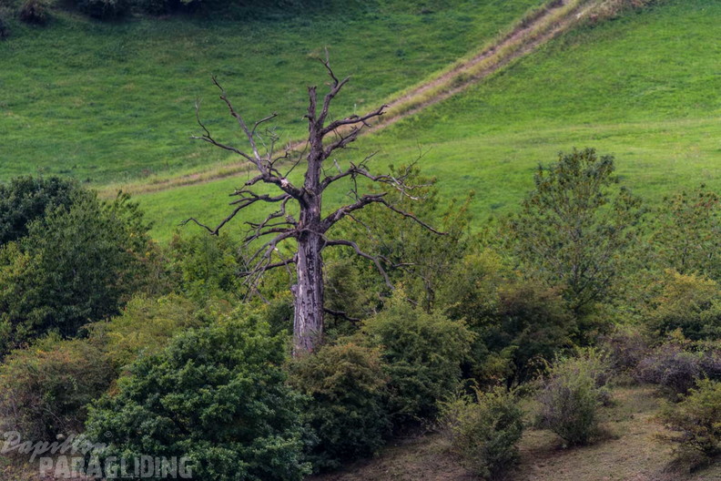 pgawc-finals-25-08-30-am-web-132