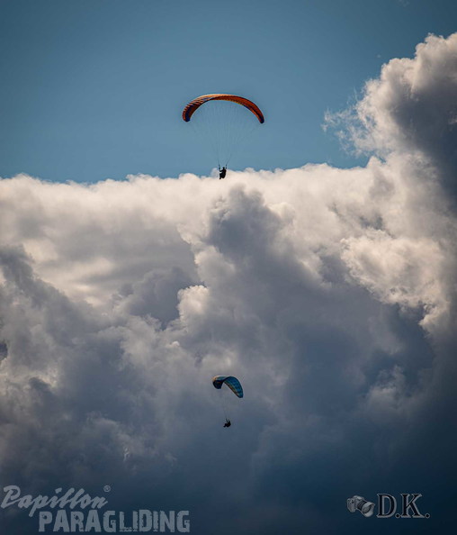 dt37.25-dirk-kunesch-213