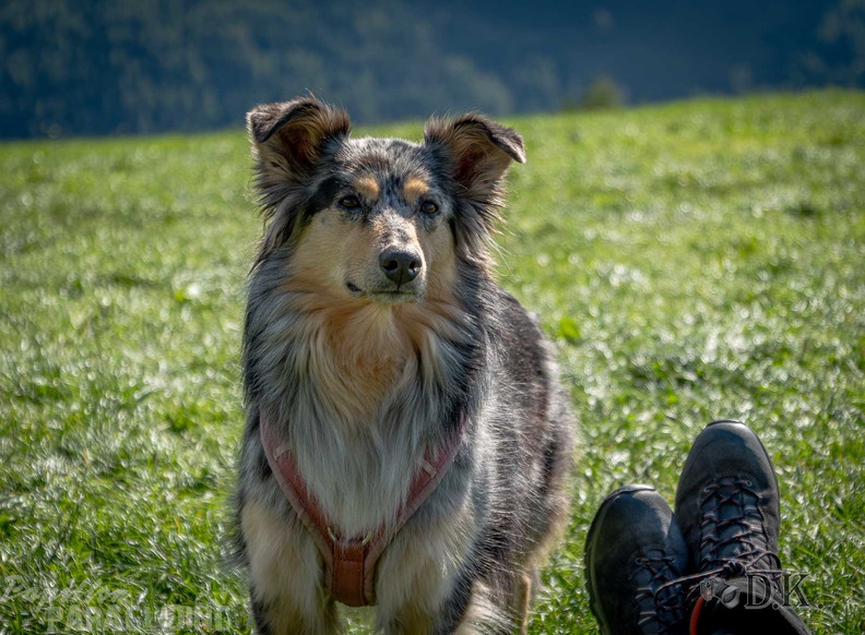 dt37.25-dirk-kunesch-222