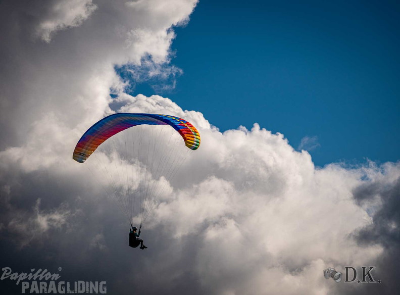 dt37.25-dirk-kunesch-226