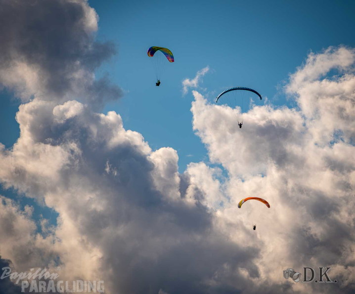 dt37.25-dirk-kunesch-250