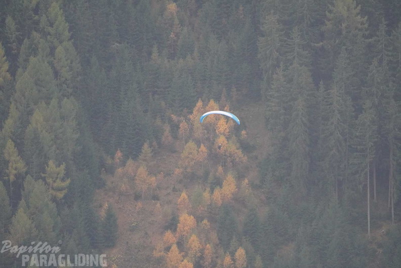 dh43.25-luesen-paragliding-176