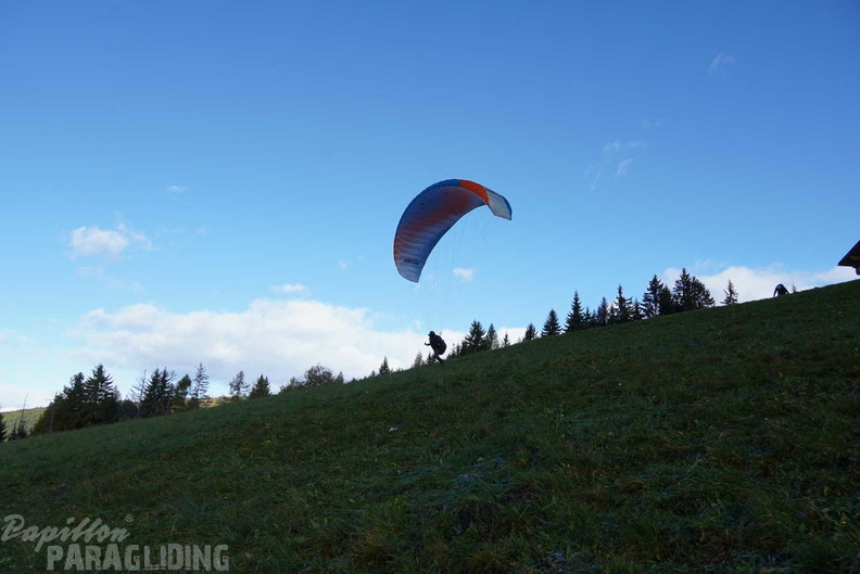 dh43.25-luesen-paragliding-203