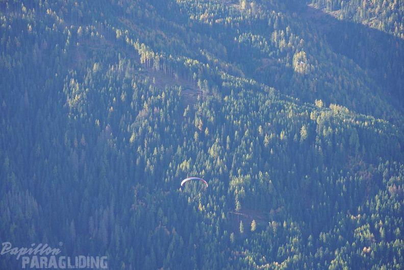 dh43.25-luesen-paragliding-391