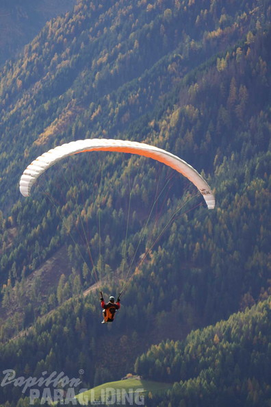 dh43.25-luesen-paragliding-426