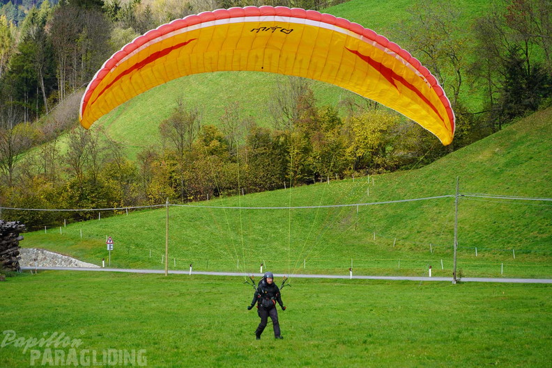 dh43.25-luesen-paragliding-440