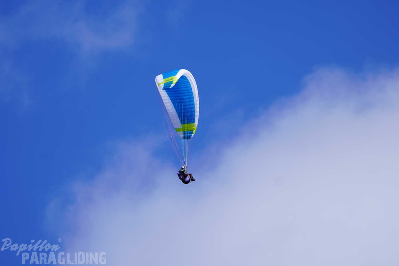 dh43.25-luesen-paragliding-445