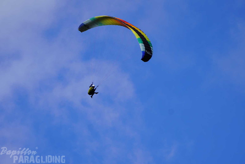 dh43.25-luesen-paragliding-448