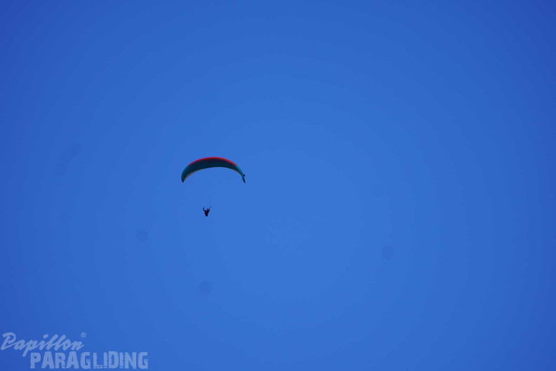 dh43.25-luesen-paragliding-450