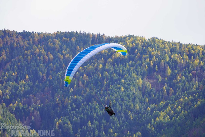 dh43.25-luesen-paragliding-452