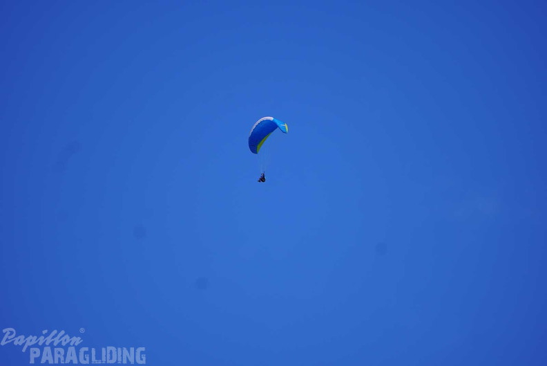 dh43.25-luesen-paragliding-455
