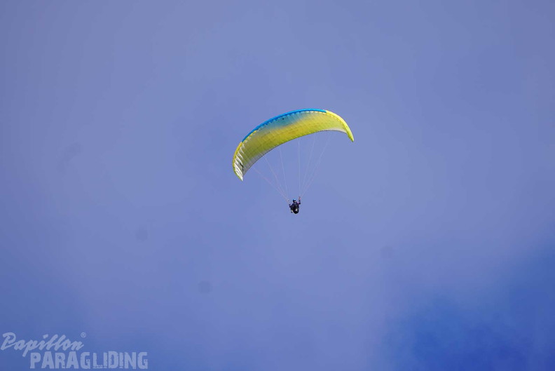 dh43.25-luesen-paragliding-461