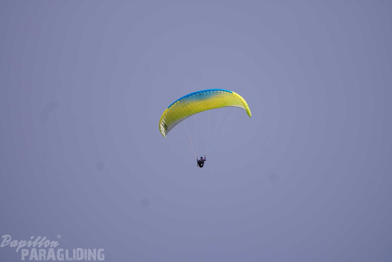 dh43.25-luesen-paragliding-462