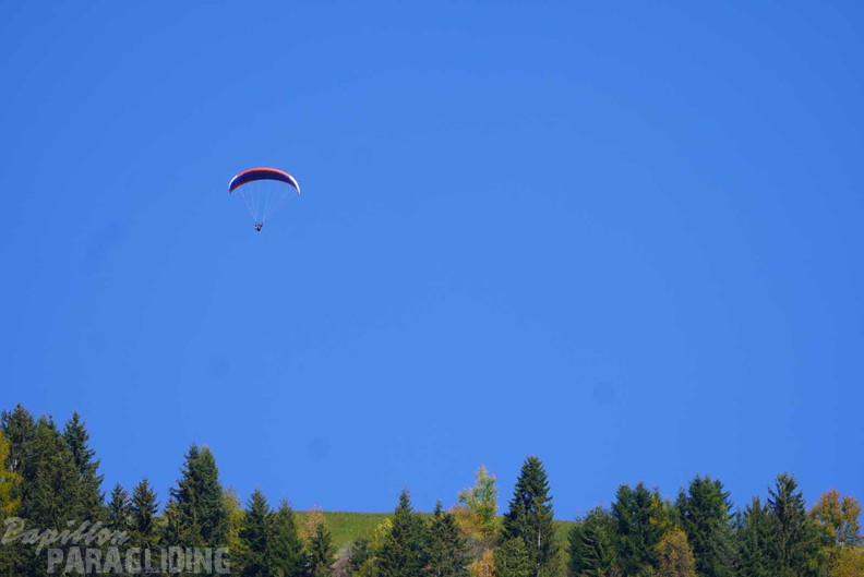 dh43.25-luesen-paragliding-463