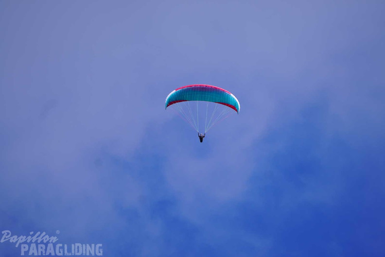 dh43.25-luesen-paragliding-464