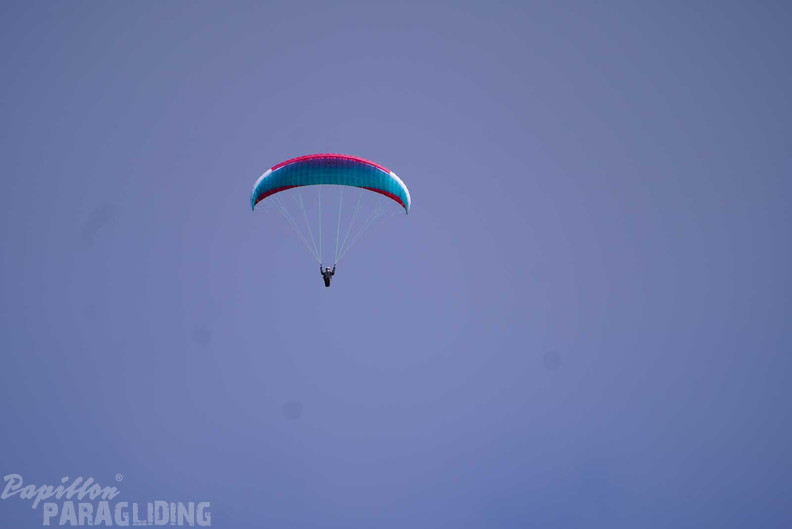 dh43.25-luesen-paragliding-465