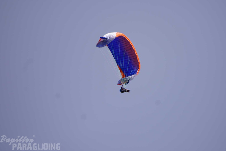 dh43.25-luesen-paragliding-468