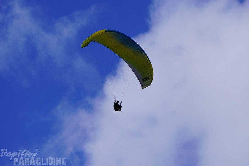 dh43.25-luesen-paragliding-477