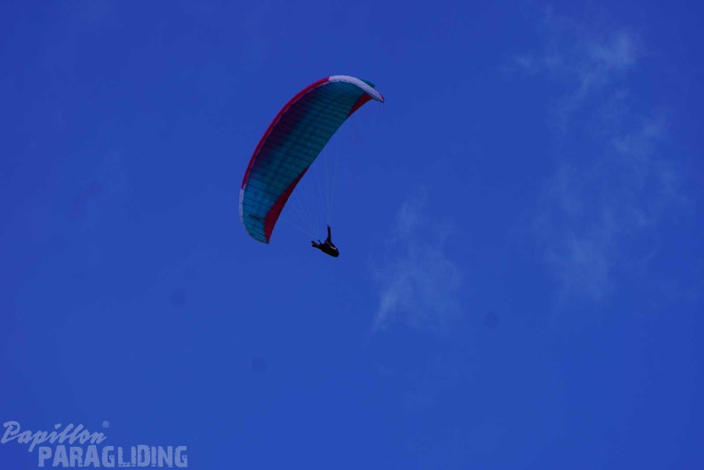 dh43.25-luesen-paragliding-481