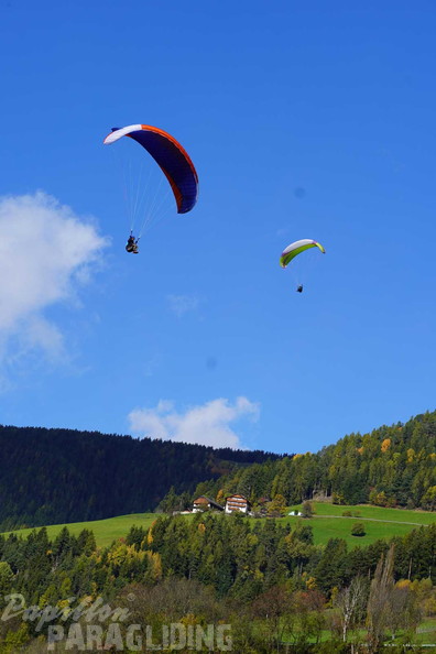 dh43.25-luesen-paragliding-488
