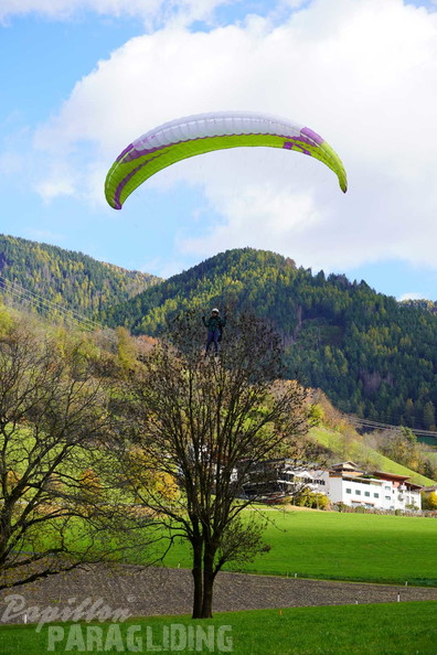 dh43.25-luesen-paragliding-498