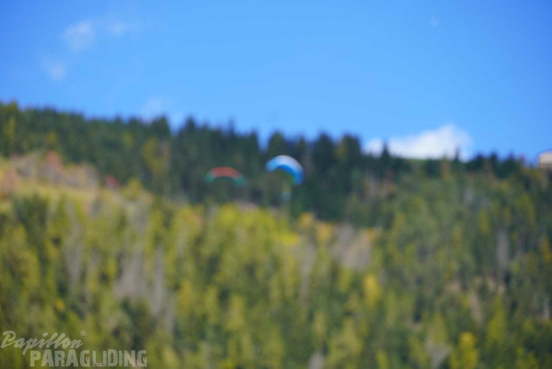 dh43.25-luesen-paragliding-505
