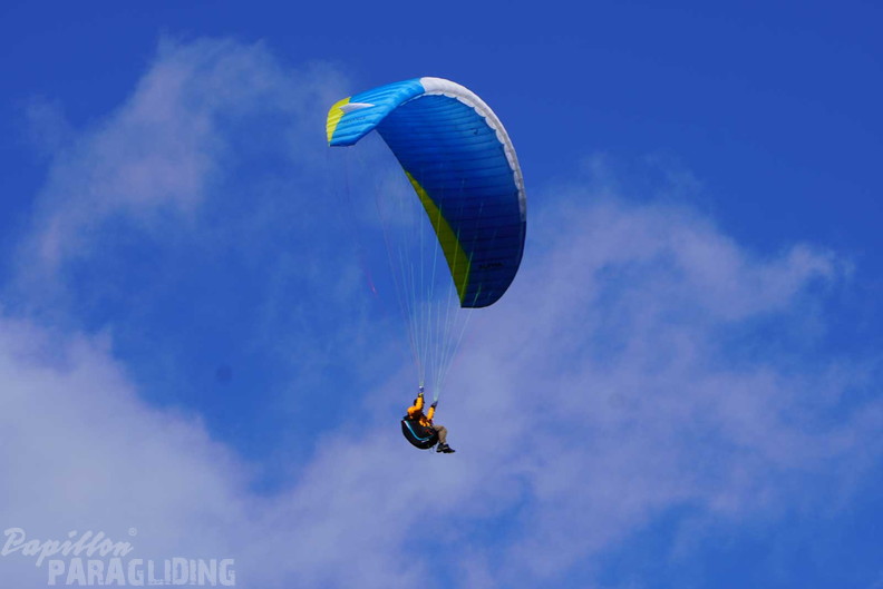 dh43.25-luesen-paragliding-514