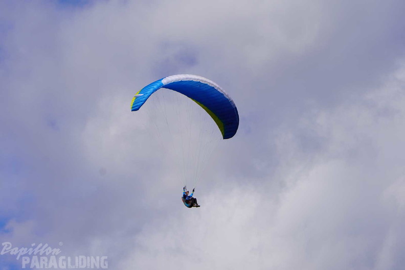 dh43.25-luesen-paragliding-515