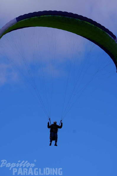 dh43.25-luesen-paragliding-525
