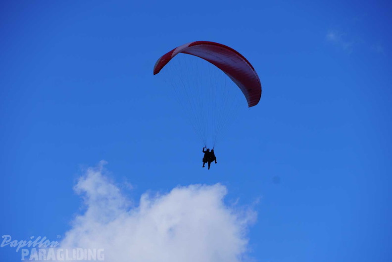 dh43.25-luesen-paragliding-526