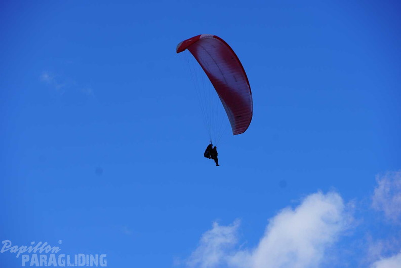 dh43.25-luesen-paragliding-527