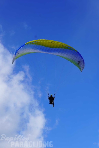 dh43.25-luesen-paragliding-553