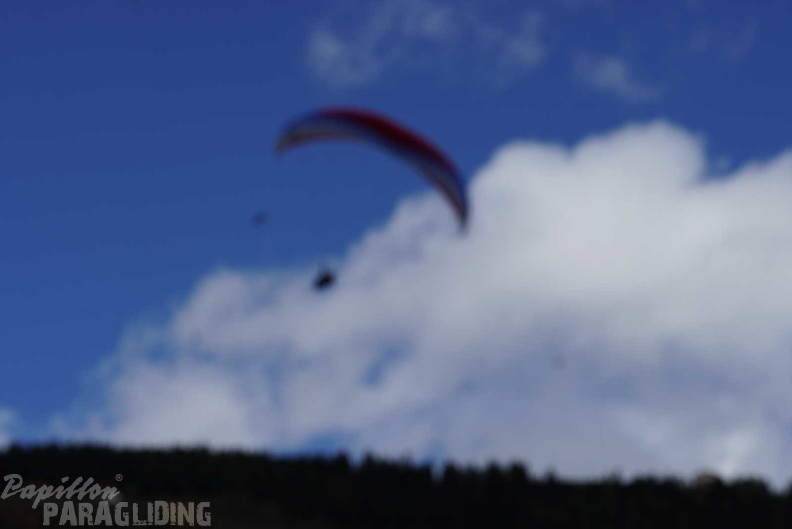 dh43.25-luesen-paragliding-554