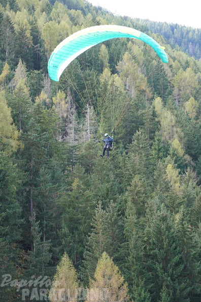 dh43.25-luesen-paragliding-566