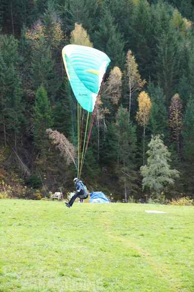 dh43.25-luesen-paragliding-567