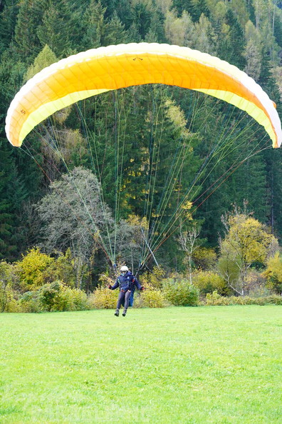 dh43.25-luesen-paragliding-569