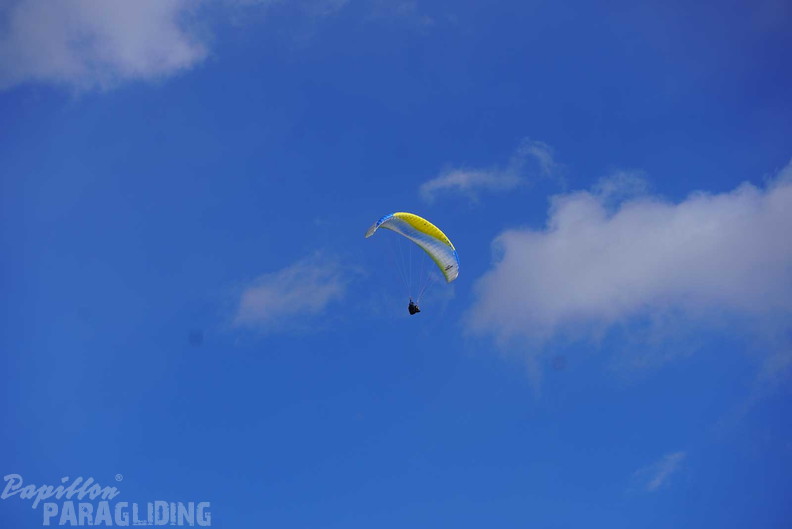 dh43.25-luesen-paragliding-586