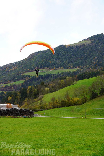 dh43.25-luesen-paragliding-628