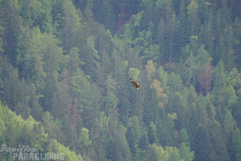 dh43.25-luesen-paragliding-128