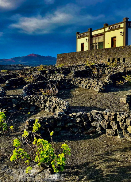 fla46.25-lanzarote-paragliding-papillon-128