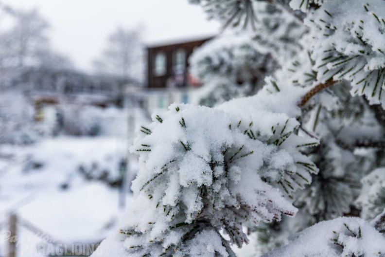 wasserkuppe-winter-25-11-20-mn-105