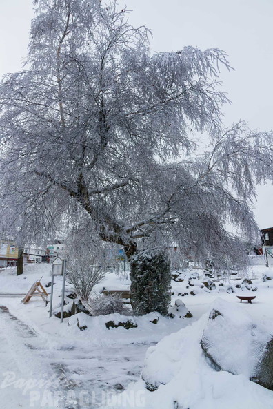 wasserkuppe-winter-25-11-20-mn-106