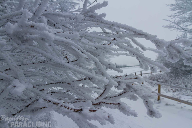 wasserkuppe-winter-25-11-20-mn-127