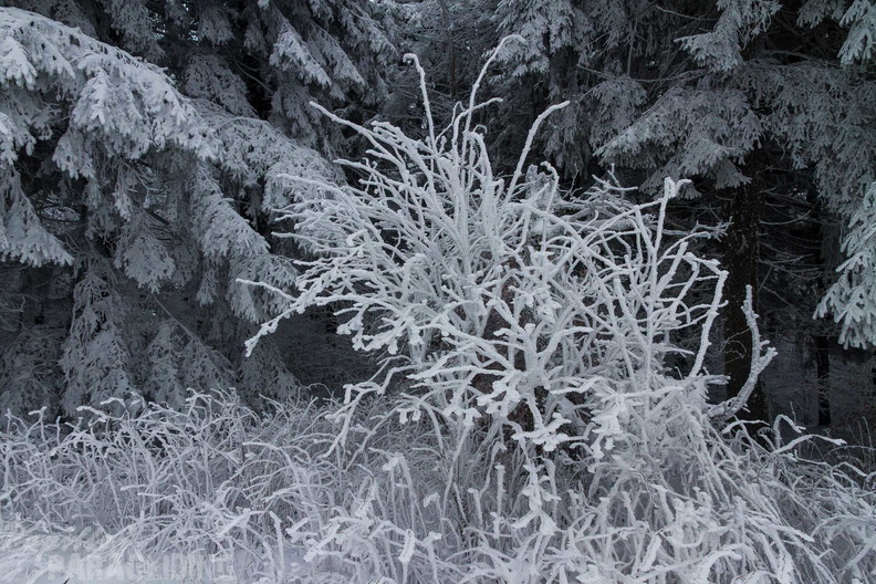 wasserkuppe-winter-25-11-20-mn-126