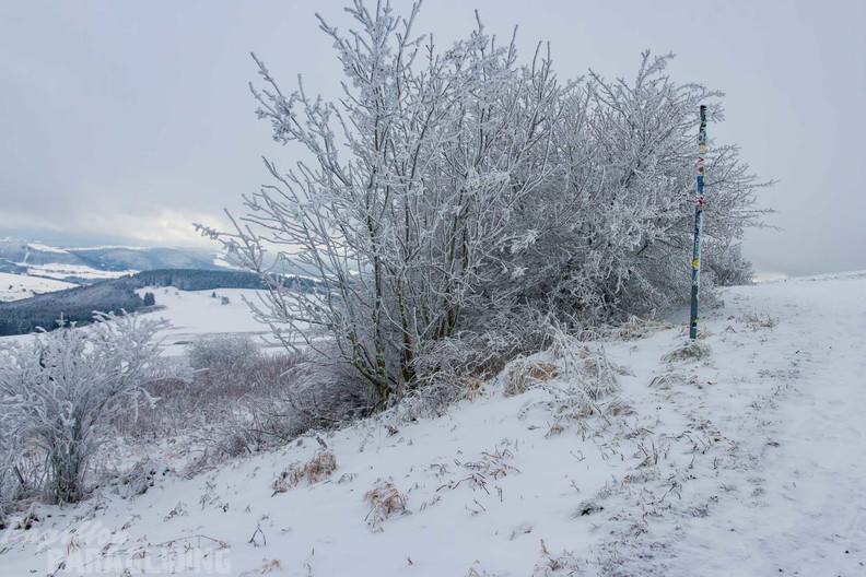 wasserkuppe-winter-25-11-20-mn-134