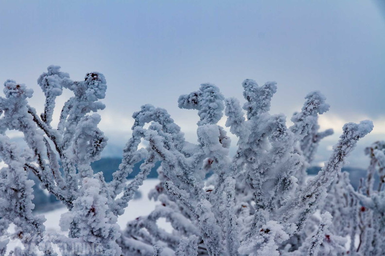 wasserkuppe-winter-25-11-20-mn-137