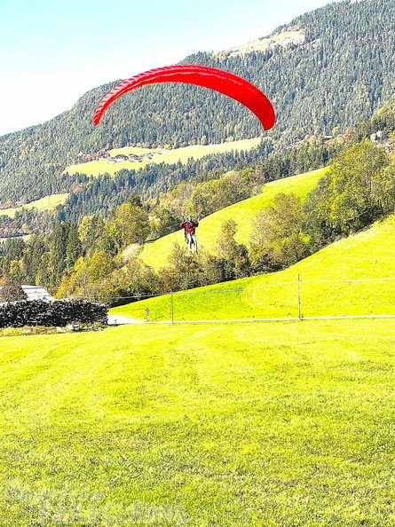 BILD-NO350