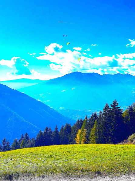 BILD-NO447