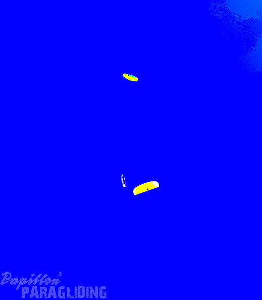 BILD-NO449