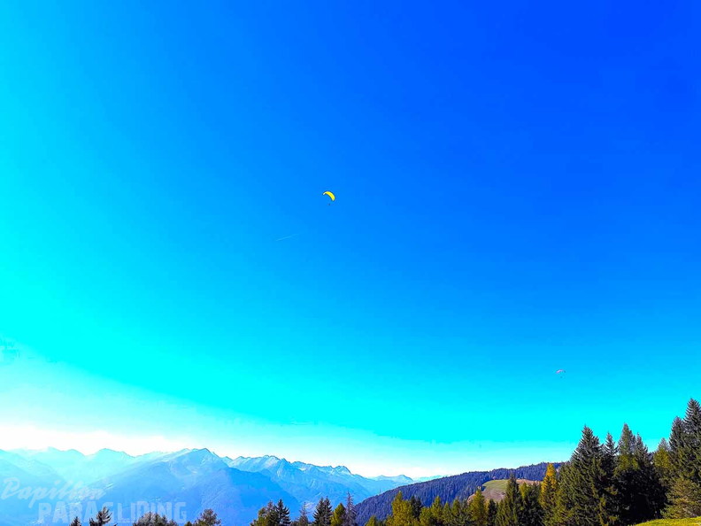 BILD-NO499